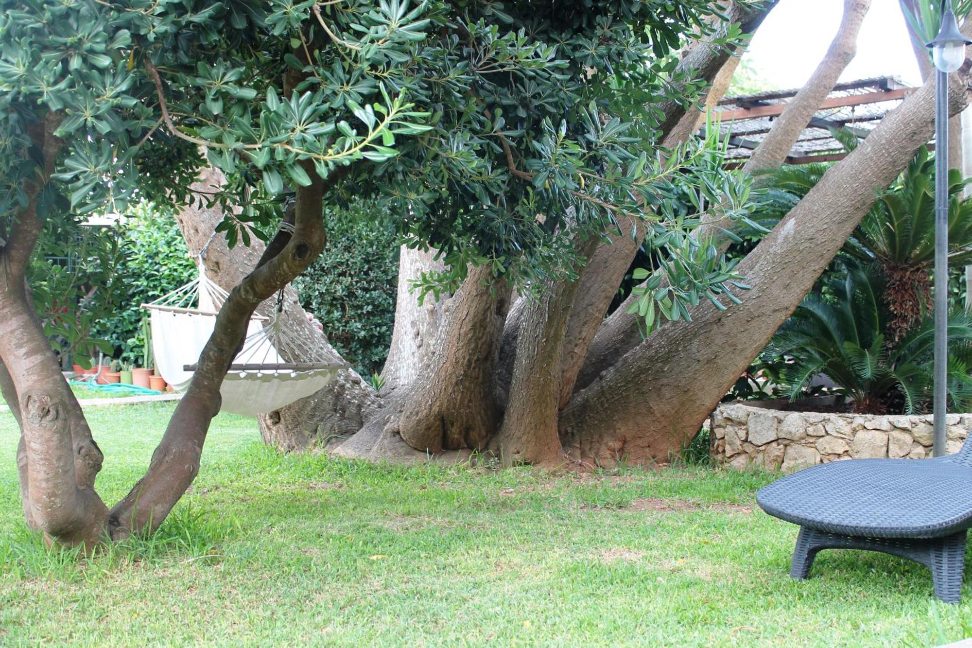 Terra Di Mare Villa Vignacastrisi Dış mekan fotoğraf